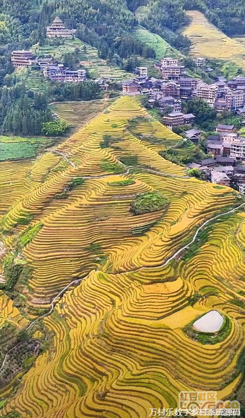 农村环境治理与乡村振兴的可持续发展策略
