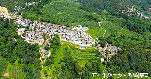 智慧乡村建设:农村文化遗产的数字化保护策略与实践
