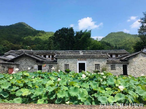 农村集体产权改革助力乡村产业振兴:政策解读与市场开拓之路