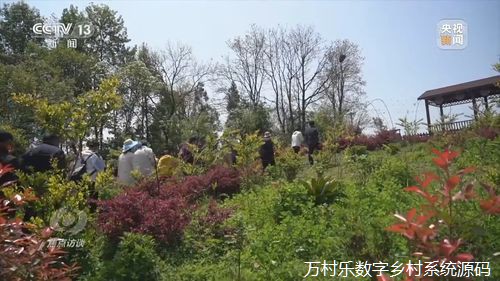 农村医疗卫生体制改革之路:挑战、创新与政策支持