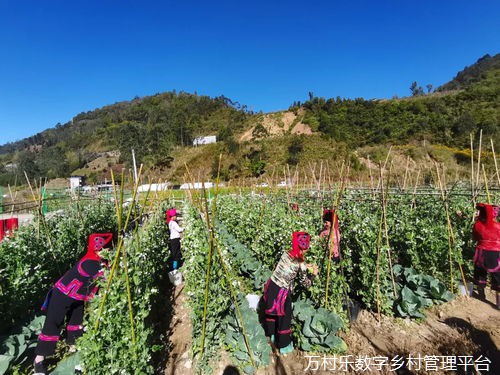 农村教育公平与乡村振兴的人才战略：构建可持续发展的乡村教育体系