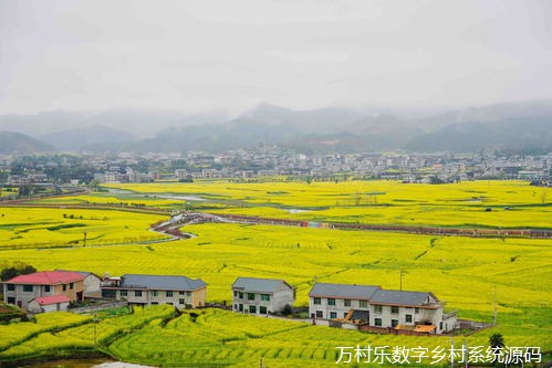 数字乡村农业园区振兴之道:趋势、转型与创新管理