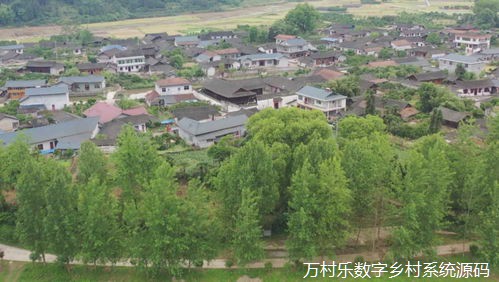 数字动能下的乡村旅游振兴策略:产业升级与市场拓展