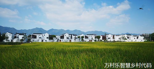 农业数字化转型与乡村振兴策略:数字乡村建设案例解析
