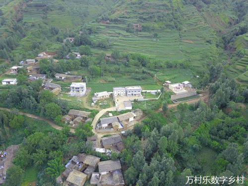 数字乡村医疗新篇章:健康振兴与平台建设之路