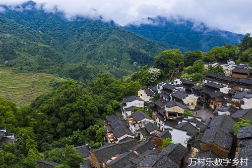农村创业创新指南:从产业选择到市场开拓的全方位乡村振兴战略