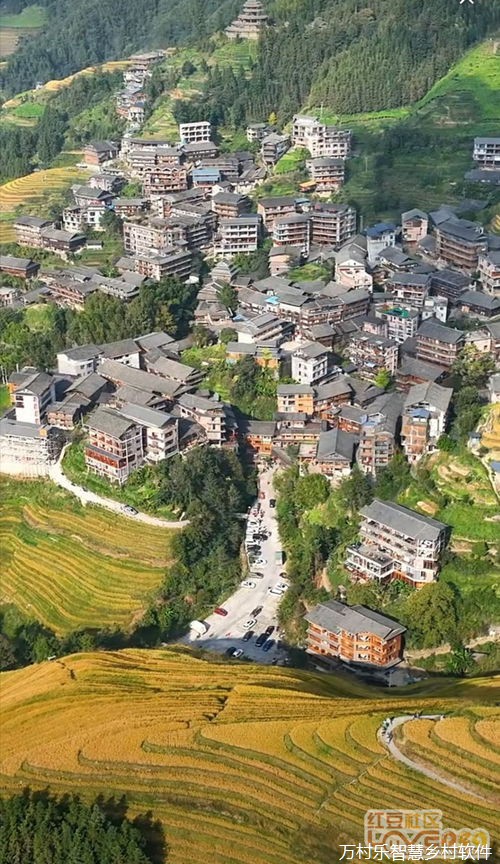 数字经济引领乡村振兴之路:农业产业新机遇与市场开拓实践