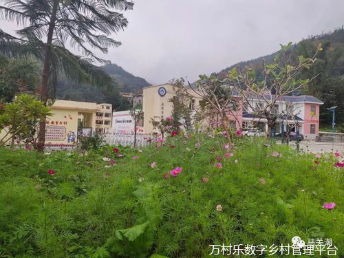蹄疾步稳闯新路 安徽扎实推进国家数字乡村试点建设
