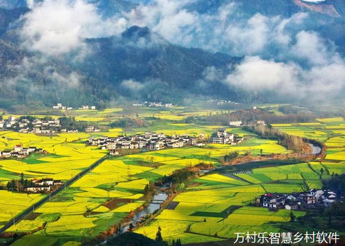 我市各区各板块党员干部认真学习领会党的二十届三中全会精神 奋楫争先,继续把改革推向前进