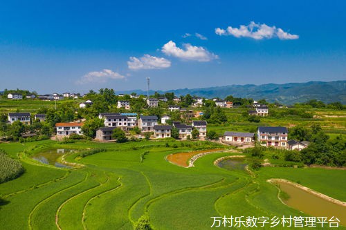 农村能源结构转型与乡村振兴:实现可持续发展的路径