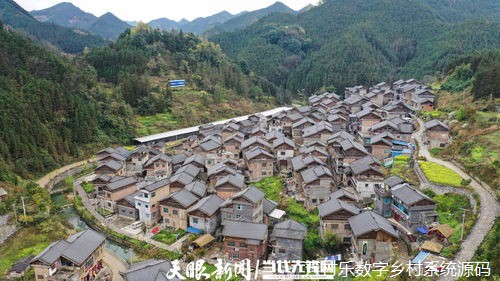 农村食品安全保障与产业振兴策略
