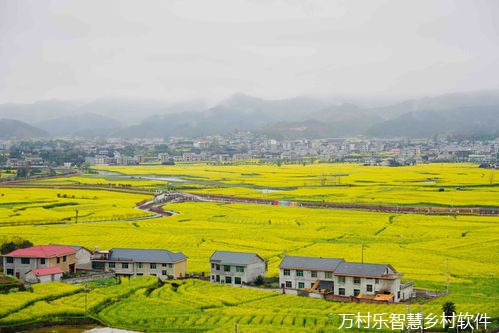 湖南信息职院:情系高椅古村 共绘乡村振兴新篇章