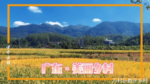 雁洋镇阴那村 变“美丽乡村”为“美丽经济”
