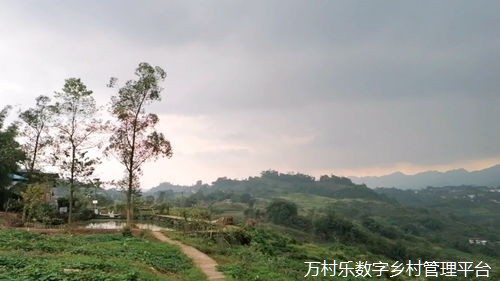 农业智慧化引领乡村振兴之路:数字化教育资源与产业发展策略探究