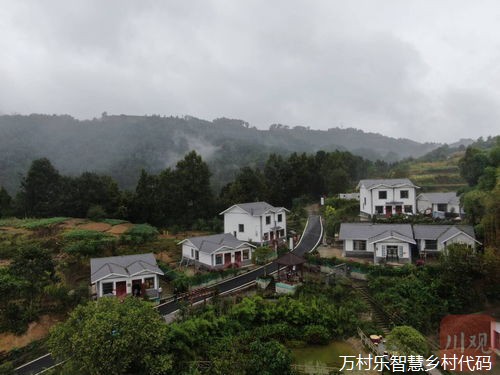 农村教育改革与乡村振兴的知识创新：引领乡村发展的智慧之路