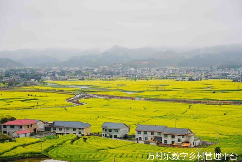 社会组织倾情助力贵州乡村振兴