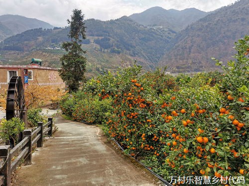 打好“乡贤+”组合牌 孝南这个村绘出和美乡村新画卷