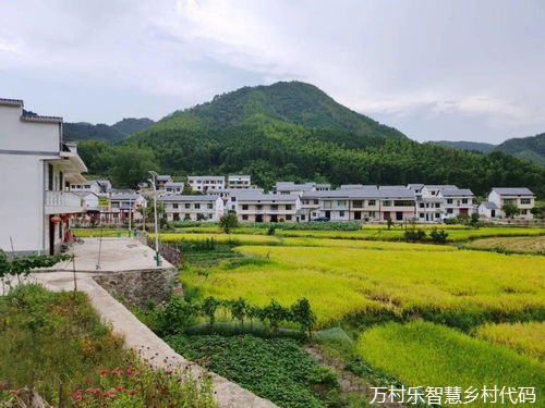 乡村振兴的“新格局”:“数字乡村”绘就经济发展新蓝海