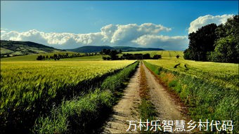 农村文化建设与乡村振兴的精神内涵探析