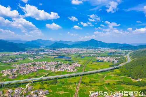仁寿县:执善治之笔,绘美丽乡村