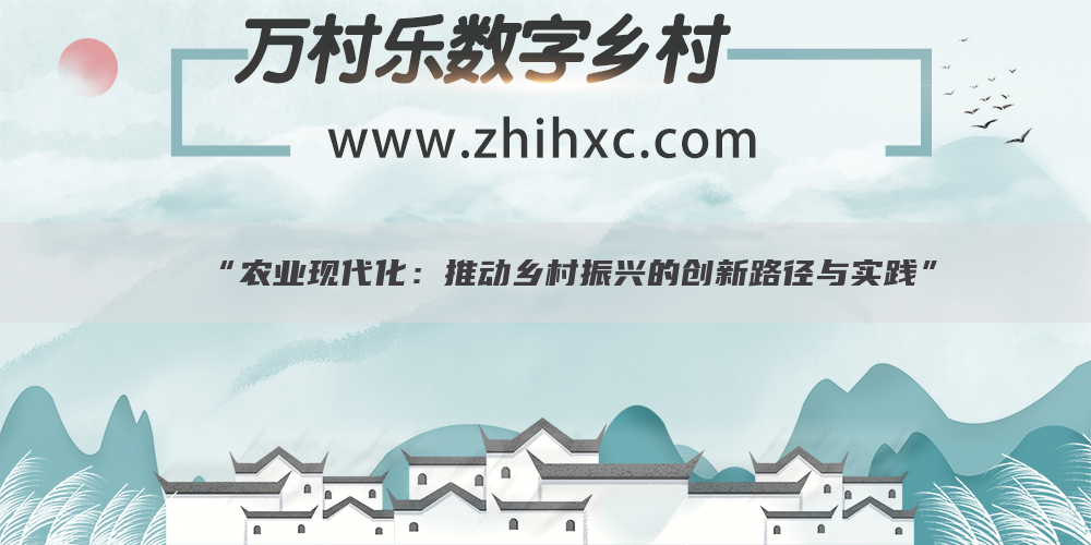 “农业现代化:推动乡村振兴的创新路径与实践”