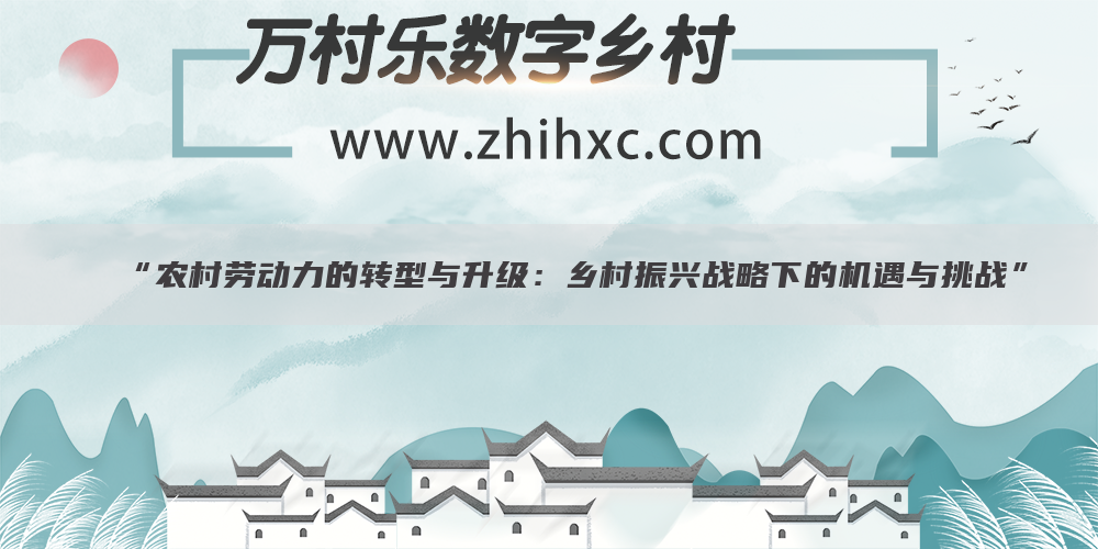 “农村劳动力的转型与升级:乡村振兴战略下的机遇与挑战”