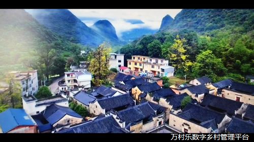 农业机械化进程中的发展、挑战与前景:以乡村经济与农民增收为核心