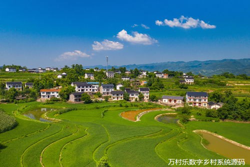乡村教育改革的路径探索与案例分析:现状、挑战、创新理念与应用