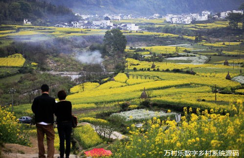 循环农业助力乡村振兴:概念、挑战、技术实践与政策探索