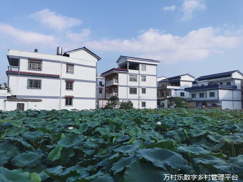 深度探索:乡村人力资本投入的价值与实践路径