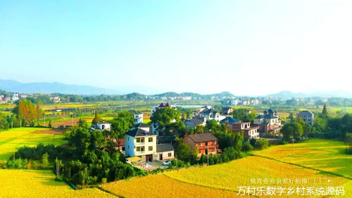 农村环境治理:迈向生态宜居的美丽乡村之路