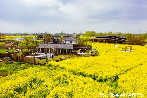 智慧农业发展:未来乡村的振兴之路
