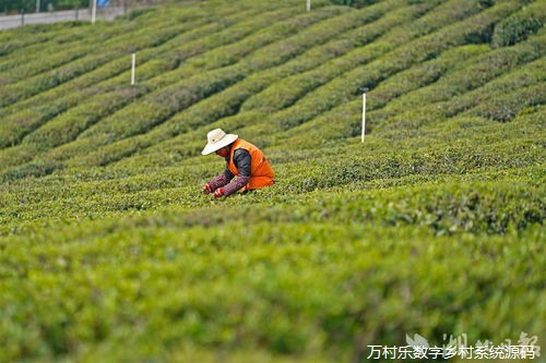 乡村振兴战略下的新路径:激发乡村发展内生动力