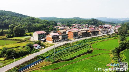 农业农村现代化之路:探索乡村振兴的实践路径