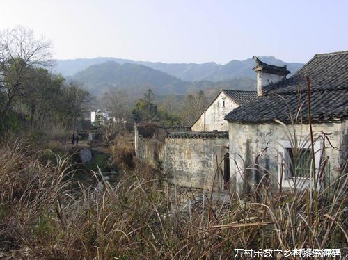 乡村信息化建设:助力乡村振兴的智慧之路