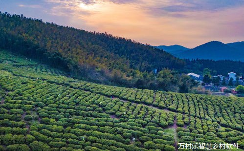 劳动力转移就业:开辟乡村振兴新路径