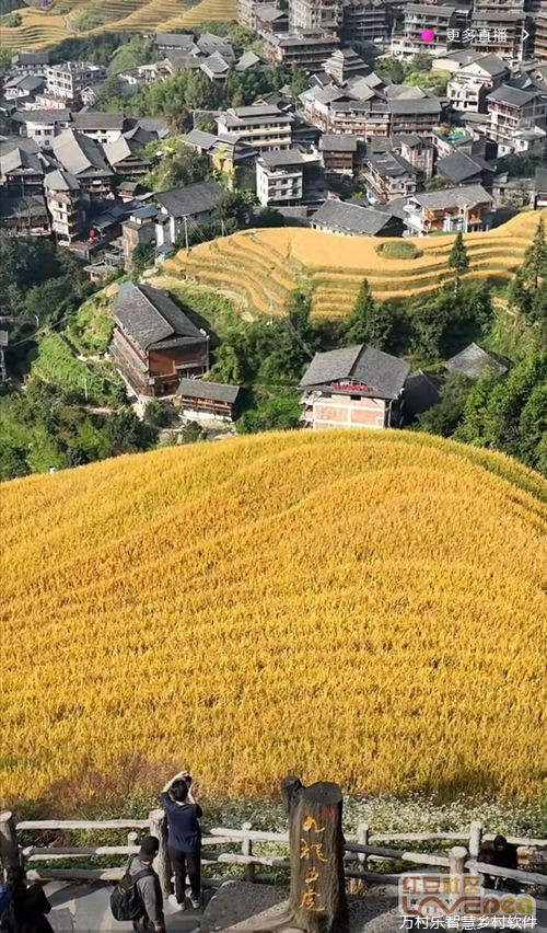 乡村能源利用:绿色转型之路