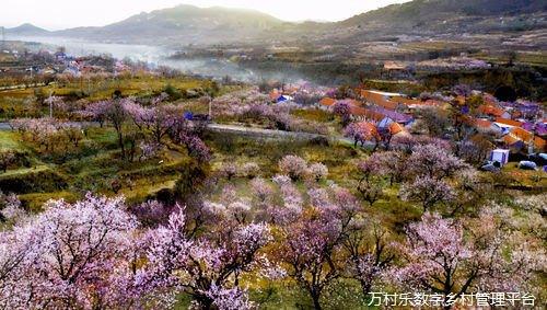探索乡村社会和谐之路:共筑美好家园