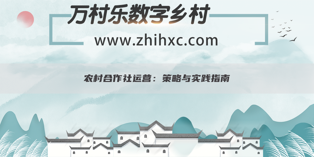农村合作社运营:策略与实践指南