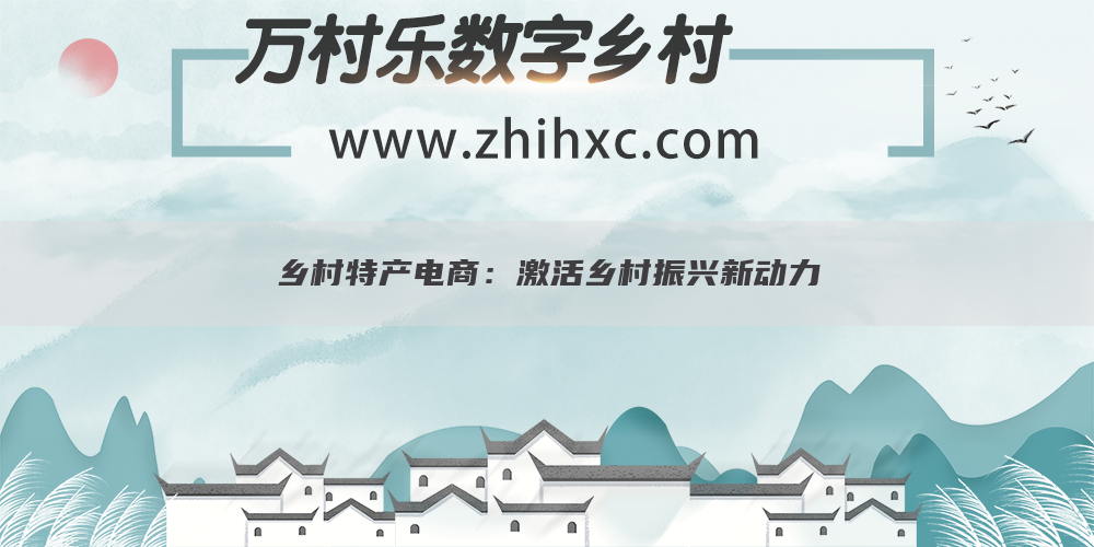 乡村特产电商:激活乡村振兴新动力