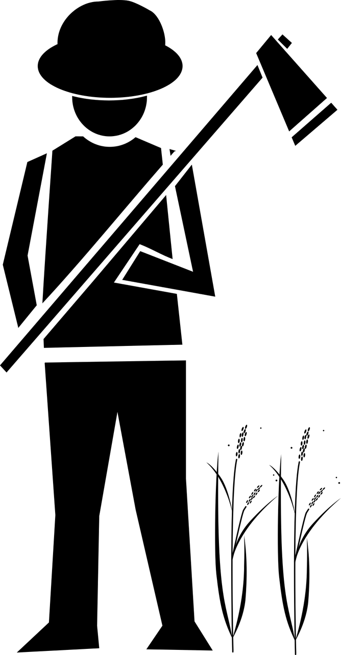 构筑数字田园：重塑乡村产业，迈向未来新篇章