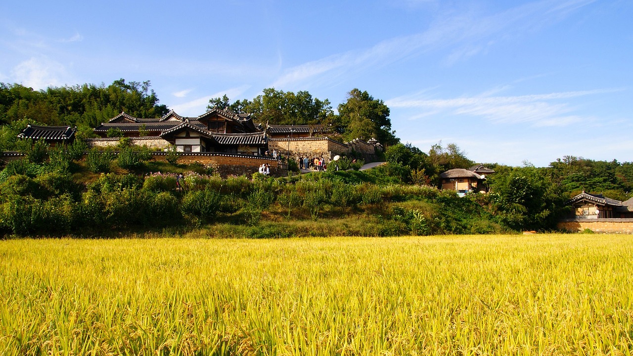 乡村特色产业市场定位:如何精准挖掘并打造独特的乡村品牌?