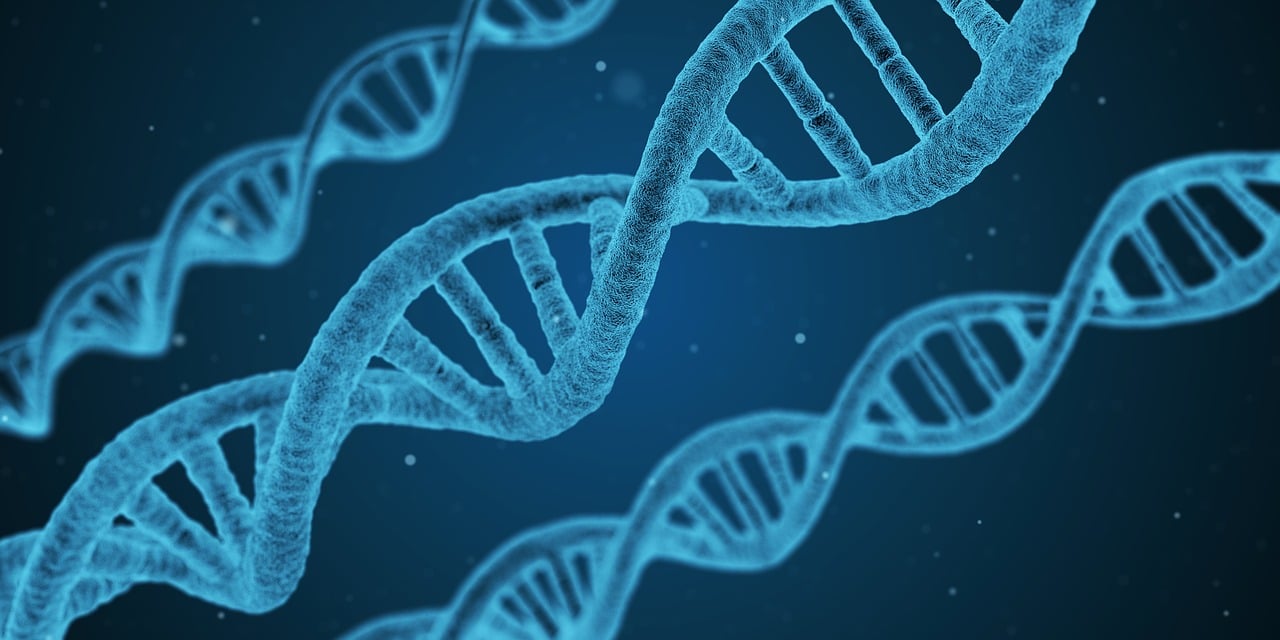 数字技术如何破解乡村治理难题？这份秘籍请收好