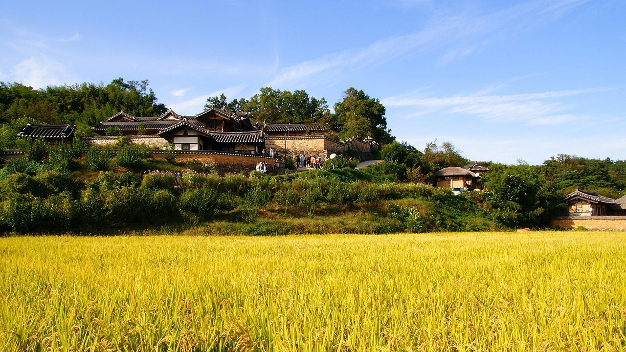 数字技术如何突破乡村振兴下的农村旅游困局?