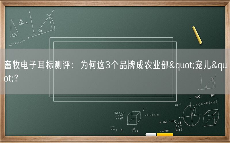 畜牧电子耳标测评：为何这3个品牌成农业部"宠儿"？