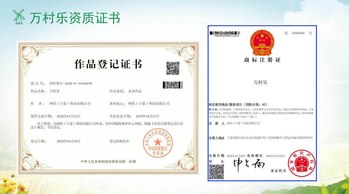 防止返贫监测系统全面升级精准帮扶全覆盖实现路径