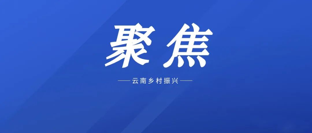 推进数字乡村建设，助力乡村振兴