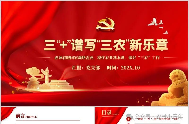 “三农”新篇章：乡村振兴的历史性跨越(2)
