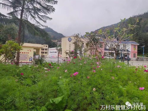 蹄疾步稳闯新路 安徽扎实推进国家数字乡村试点建设