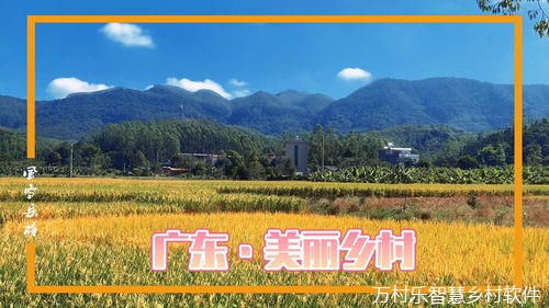 雁洋镇阴那村 变“美丽乡村”为“美丽经济”